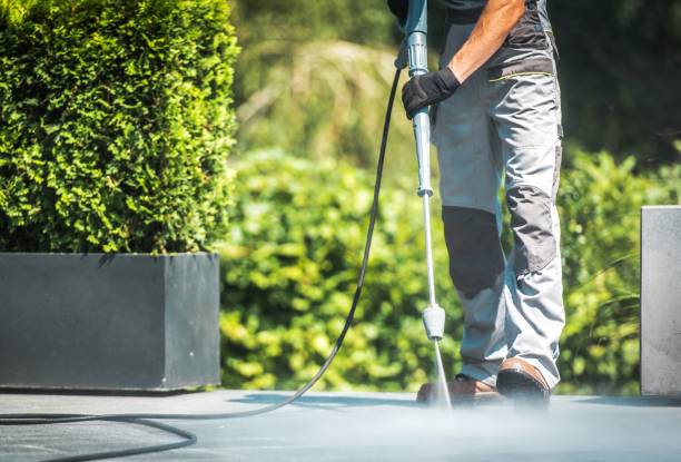 Best Patio and Deck Pressure Washing  in Three Oaks, MI