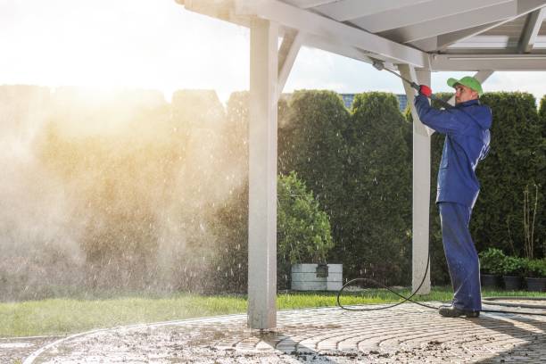 Best Roof Washing  in Three Oaks, MI