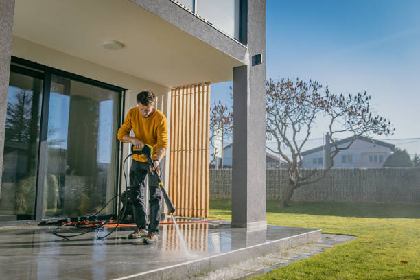Best Pre-Holiday Cleaning  in Three Oaks, MI